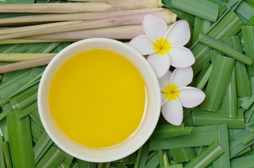 Natural Ingredients Citronella Oil, Color : Pale Yellow for Insecticide