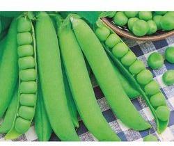 GS 10 Green Peas, For High In Protein, Packaging Size : 30 Kg