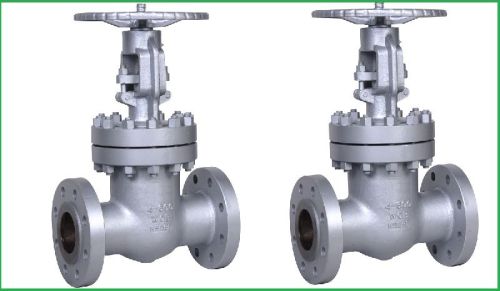 Stainless Steel Gate Valves, For Industrial, Valve Size : 15 Mm To 100 Mm