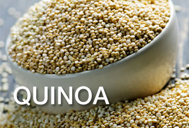 Organic 250 Gm Quinoa Seed, Purity : 99%, Moisture : 5-10% Max