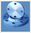 Flanges, Grade : 304L, 304H, 316, 316L, 316Ti, 310, 310S, 321, 321H, 317, 347, 347H