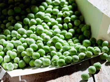 PACKED GREEN PEAS