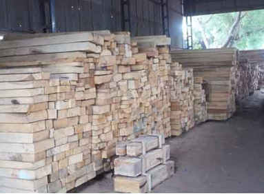 Babool Wood