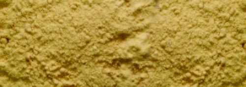 Cassia Tora Powder