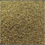 Celery Seeds