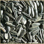 Sunflower Seeds