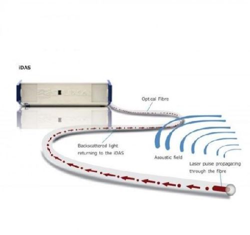 Distributed Acoustic Sensing