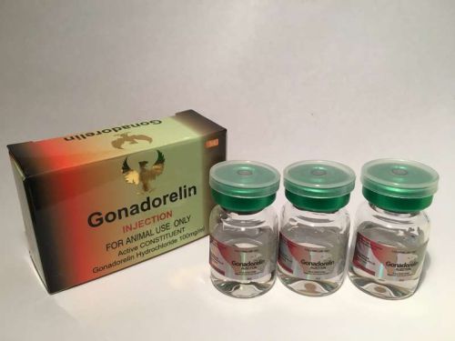 GONADORELIN 5 ML, Packaging Type : Box for Cool, Dry Place