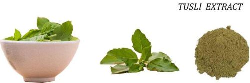 Tulsi Extract,tulsi Extract, Shelf Life : 2 Years