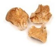 Dried mushroom, Packaging Size : 500gm-500 kg for Food