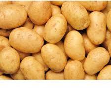 Round Common Badshah Potato, For Human Consumption, Cooking, Home, Hotels, Packaging Size : 50