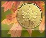 Canadian Gold Coins, For Collectible, Style : Victorian, Victorian