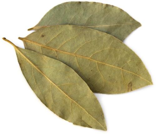 Bay Leaves, Shelf Life : 6 Months