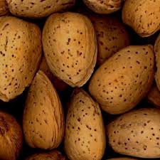 Common Shelled Almonds, For Food