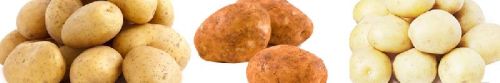 Potatoes, Packaging Size : 5-25kg