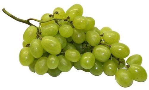 Thompson Seedless Grapes