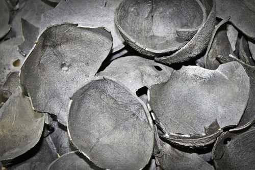 Coconut Shell Based Charcoal