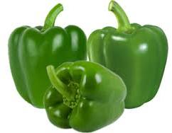 Green Capsicum, Packaging Type : Carton Box, Plastic Sack