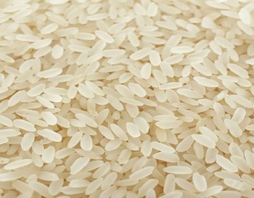 Organic Soft Ponni Raw Rice, Variety : Medium-Grain-Rice