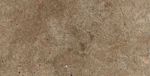 Nuvanta Porcelain Wall Tiles(sand Brown), Size : 600mm X 300mm