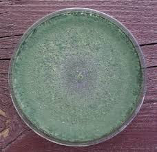 Trichoderma, Purity : 100%