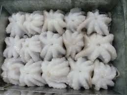 Frozen Octopus