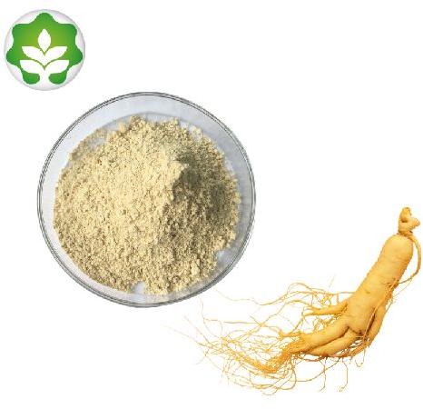 Asian Ginseng Extract Manufacturers Ginsenoside Powder Medicinal Uses