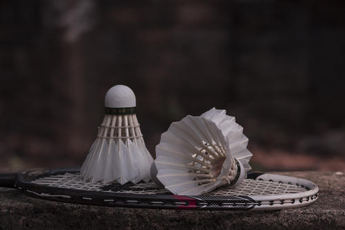 Shuttlecock, For Training, Color : White