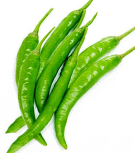 Fresh Green Chilli, Length : 2-6 Mm