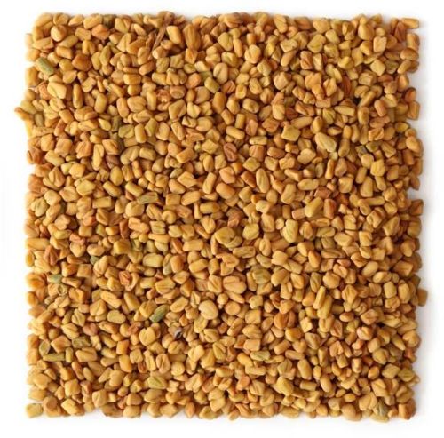 Fenugreek Seed, Certification : FSSAI