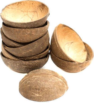 Coconut Shell, For Producing Steam, Energy-rich Gases, Bio-oil, Biochar Etc.