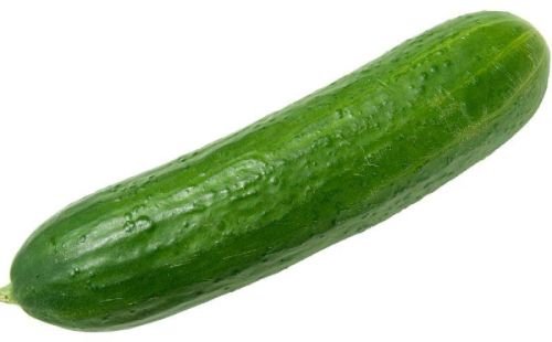 Fresh Cucumber,fresh Cucumber, Packaging Type : As Buyer Requirement, Carton Box, Plastic Bag