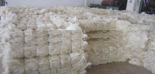 Sisal Fibers