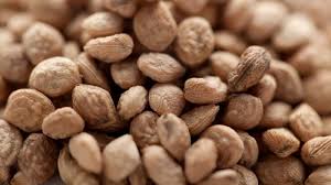 Sarpagandha Seeds, Form : Solid