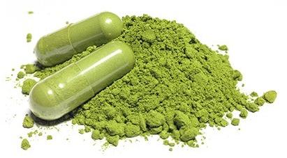 Bacopa Monnieri Capsules