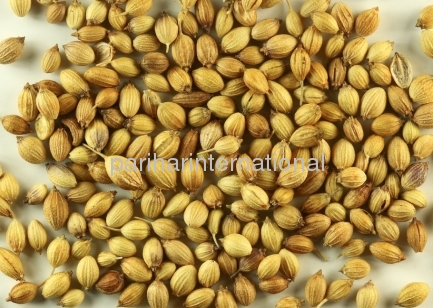Coriander seeds, Purity : 99.9%