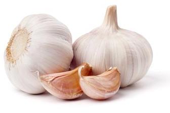 Fresh Garlic, Packaging Size : 10kg, 20kg