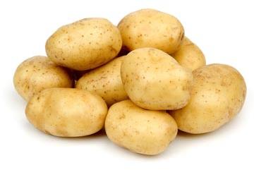 Fresh Potato, Packaging Type : 20 Kg