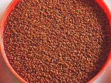 Asaliya Seeds
