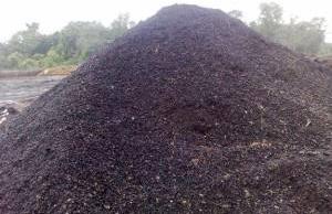 Palm Kernel Shell Powder