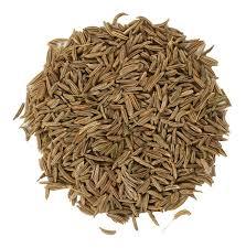 Caraway Seeds, For Spices, Certification : FDA