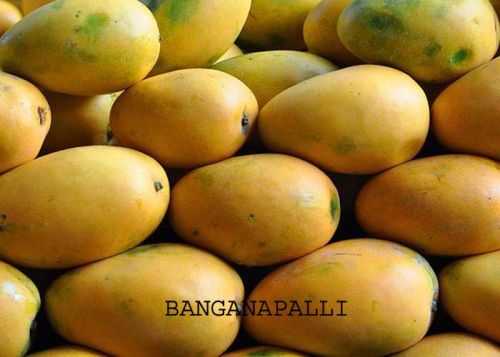 Banganapalli Mango