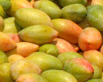 Totapuri Mango