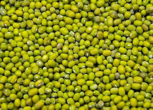 Common Green Moong Dal, Style : Dried