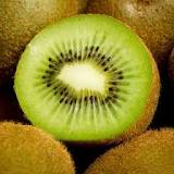 Organic Fresh Kiwi, Packaging Type : 10kg Carton