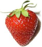 Organic Fresh Strawberry