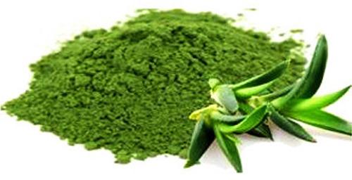 Aloe Vera Leaf Powder