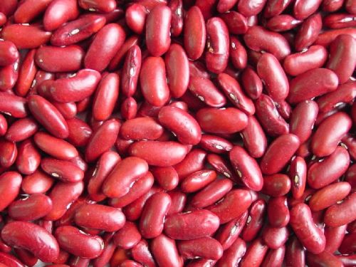 Organic red kidney beans, Packaging Size : 25-50 Kg PP Sack