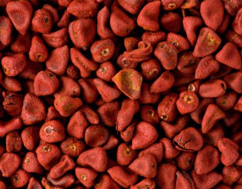 Private Organic annatto seeds, Packaging Type : Red