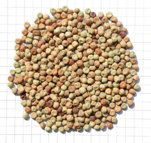 Field Peas, Brand Name : Private, Packaging Type : Jute Bags